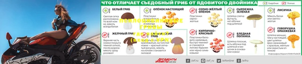 дживик Покачи