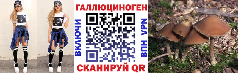 наркошоп  Курлово  Галлюциногенные грибы Cubensis 