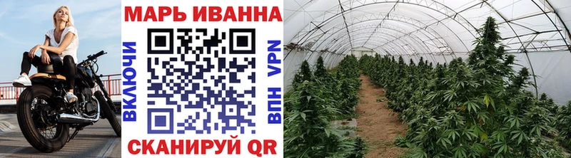 Канабис семена  мега вход  Курлово 
